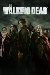 The Walking Dead Season 11 (2022) The Walking Dead Season 11 (2022)