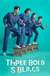 Three Bold Siblings Korea (2022) Three Bold Siblings Korea (2022)