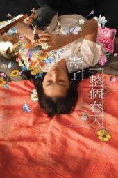 Blossoms Under Somewhere (2024) Blossoms Under Somewhere (2024)